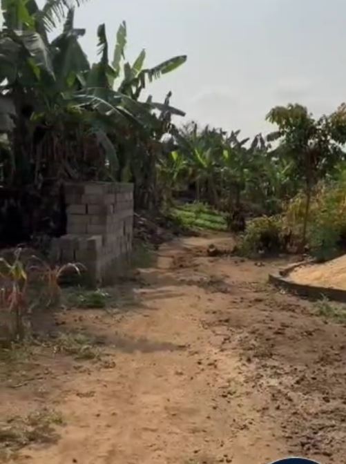 Image de la propriété