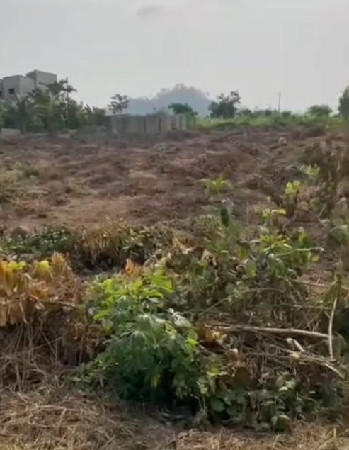 Image de la propriété