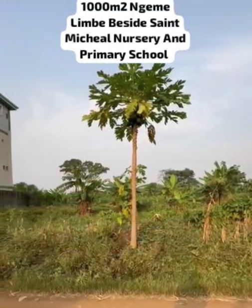 Image de la propriété