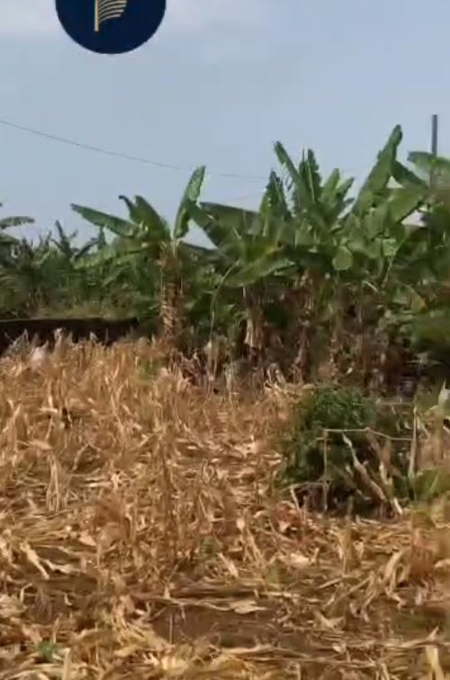 Image de la propriété