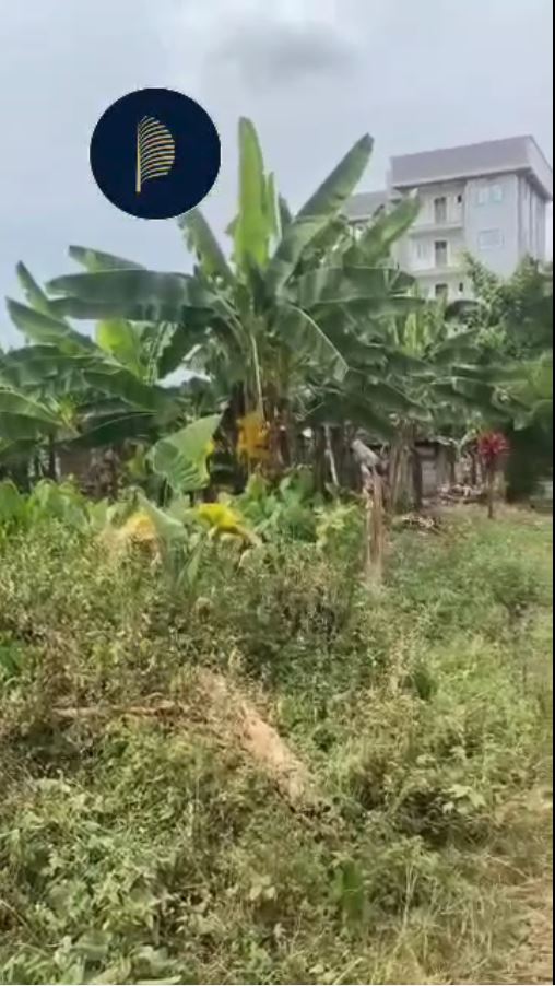 Image de la propriété