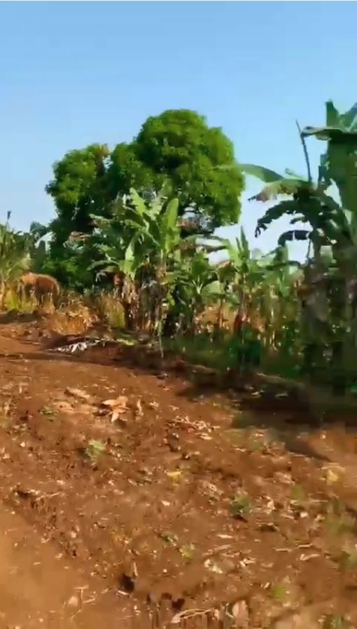 Image de la propriété