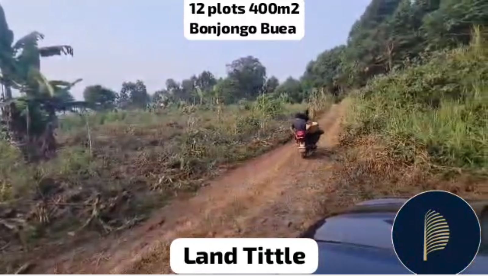 Image de la propriété