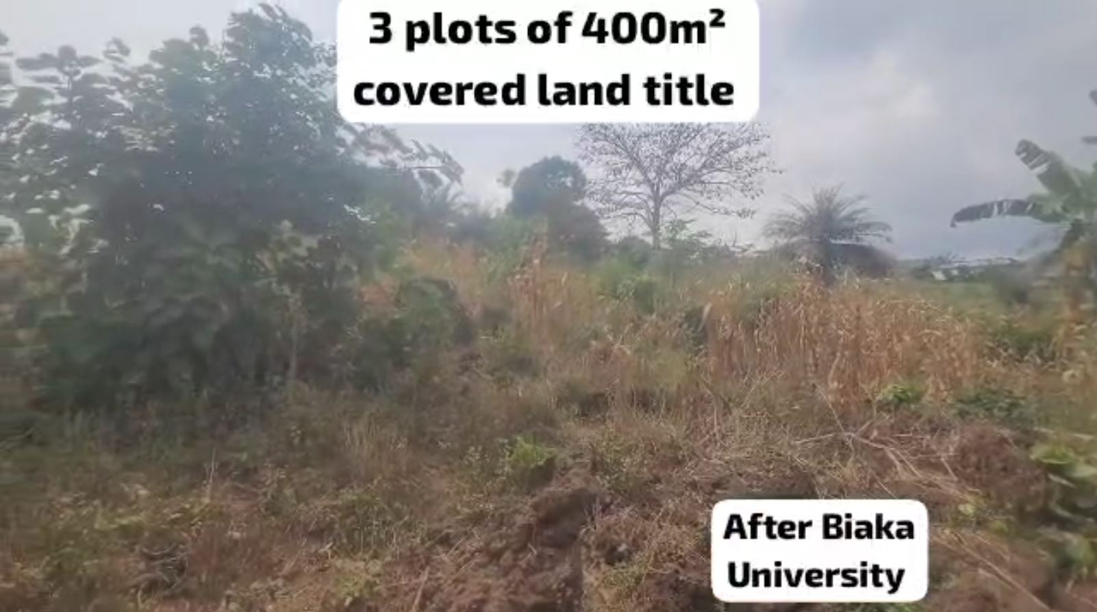 Image de la propriété