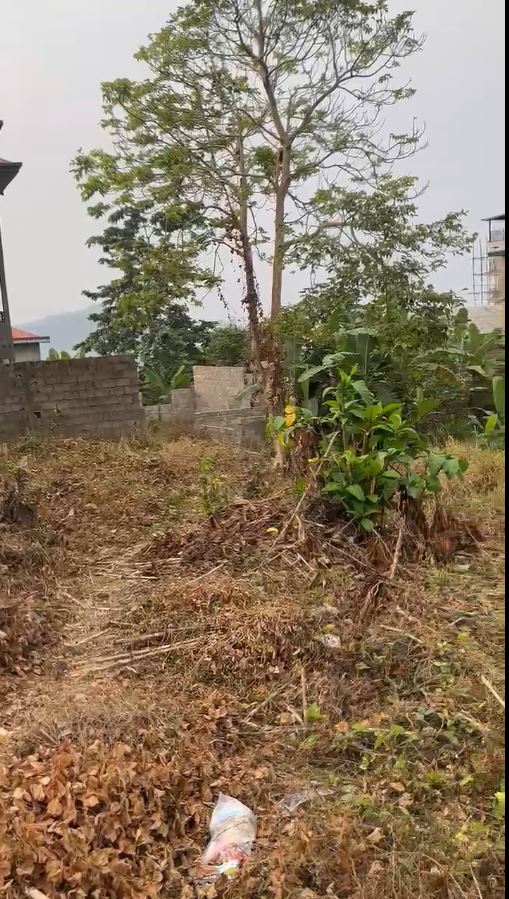 Image de la propriété