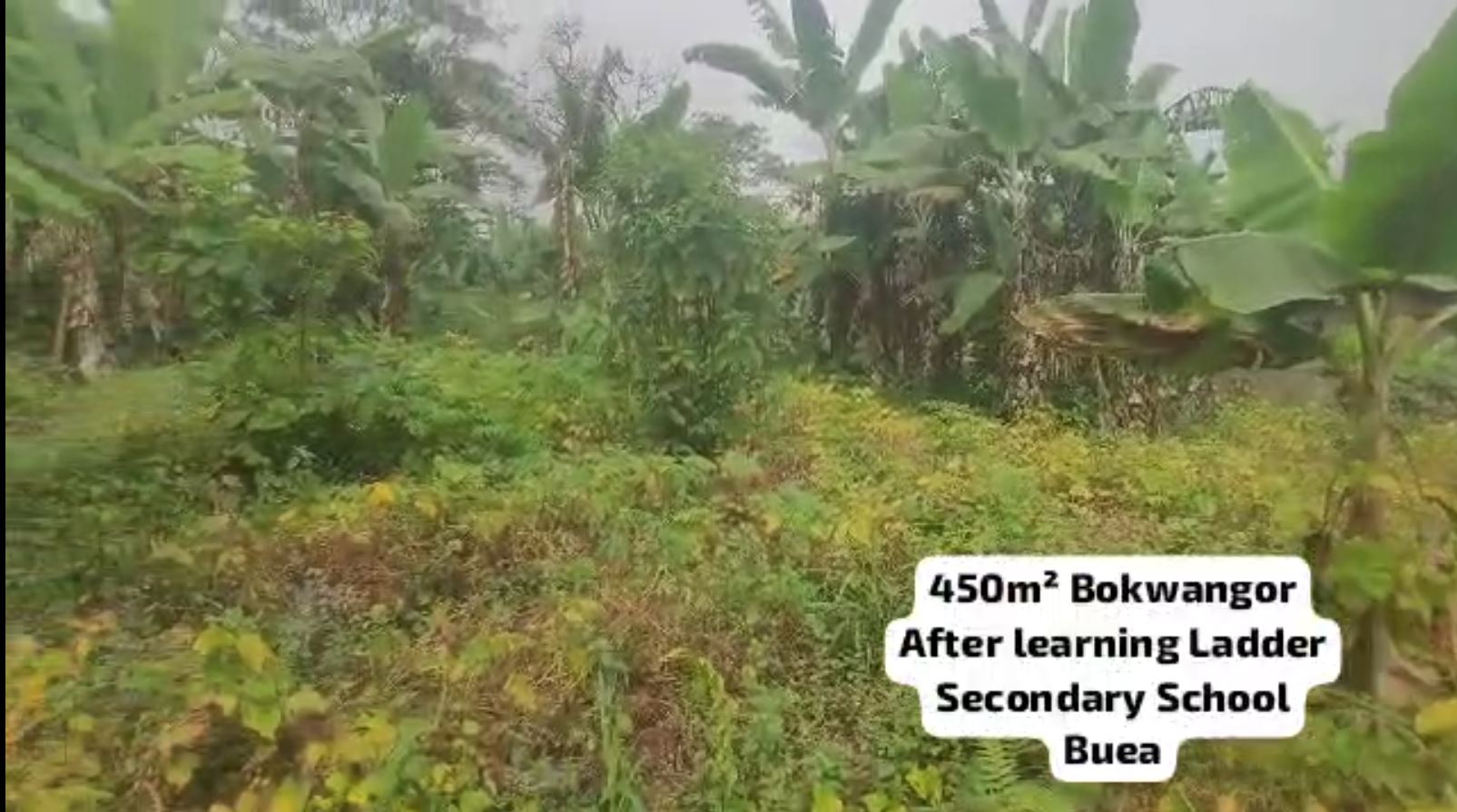 Image de la propriété