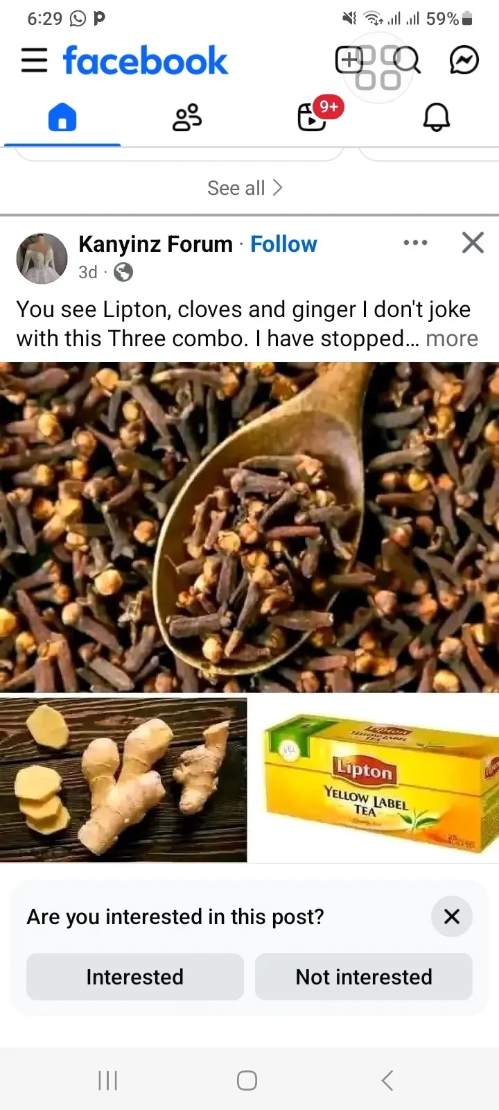 Gallery Photo 1 - Marketplace | Cloves, Clerks Quarters, Buea, Cameroon | Health & Beauty 