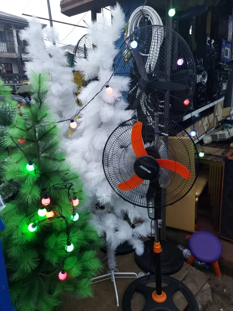 Gallery Photo 1 - Marketplace | 🎄✨ Christmas Trees For Sale! ✨🎄, Clerks Quarters, Buea, Cameroon | General & Others 