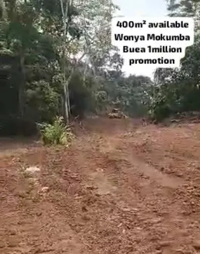 Main Photo - Real Estate | Land For Sale | Land For Sale, Mokumba, Buea, Cameroon