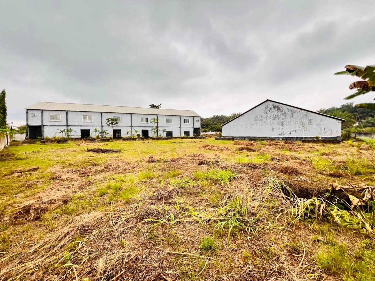 Photo Principale - Immobilier | Maison À Vendre | Church Building With Extra Land For Sale In Douala, PK7, Douala, Cameroun