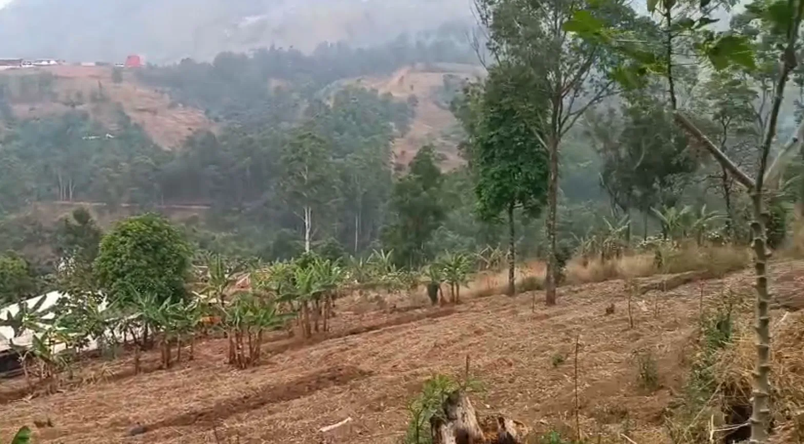 Photo Principale - Immobilier | Terrain À Vendre | Another New Year Land Giveaway! 🥰, Up station, Bamenda, Cameroun