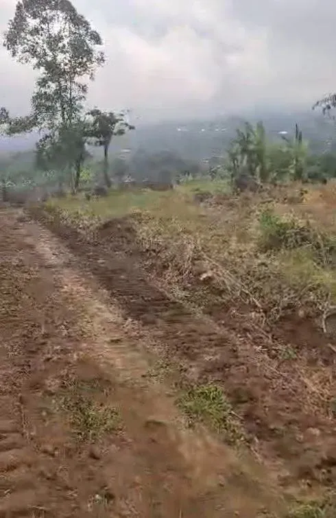 Main Photo - Real Estate | Land For Sale | Land For Sale – Wolikawo Estate Buea, WOLIKAWO, Buea, Cameroon