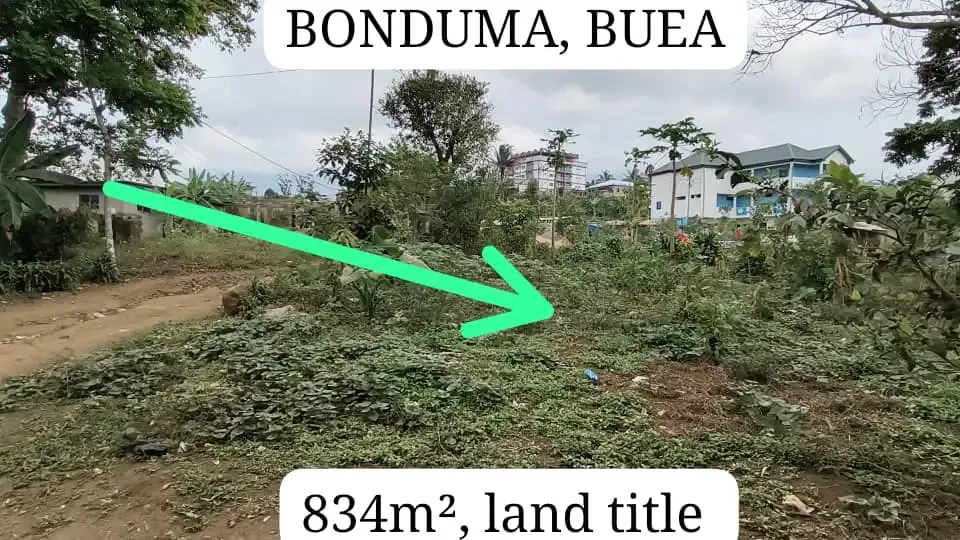 Main Photo - Real Estate | Land For Sale | New Listings Situate At Bonduma, In Buea, Bonduma, Buea, Cameroon