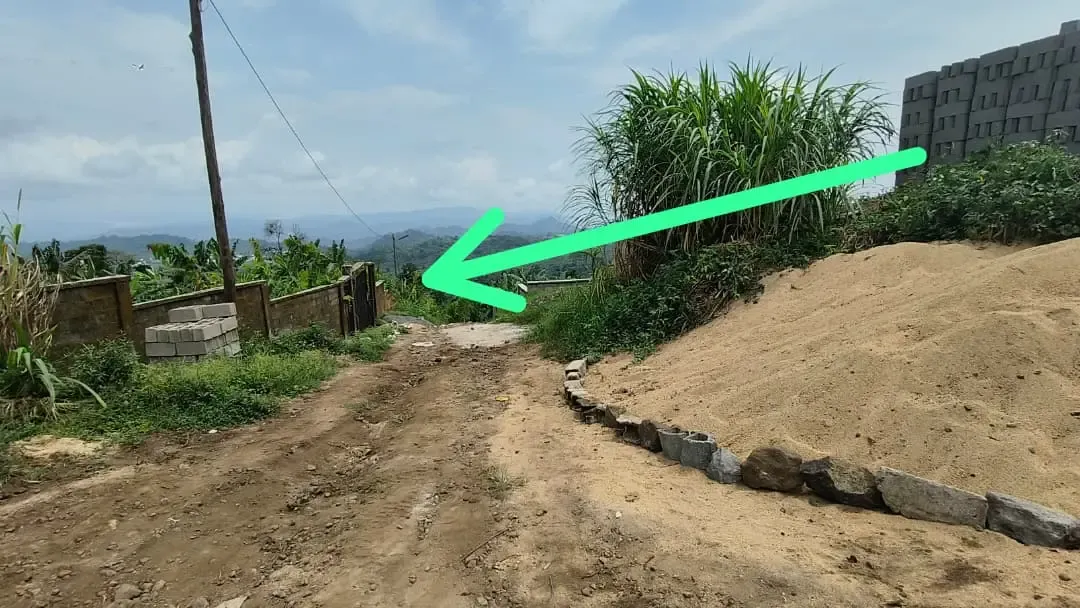 Main Photo - Real Estate | Land For Sale | New Listings Situate At Signal Hill Bokwango , In Buea, Bokwango, Buea, Cameroon