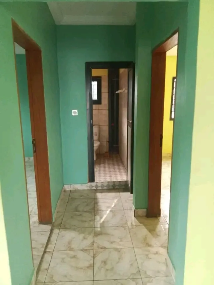 Photo Principale - Immobilier | Maison À Louer | Appartement, Ndogbong, Douala, Cameroun