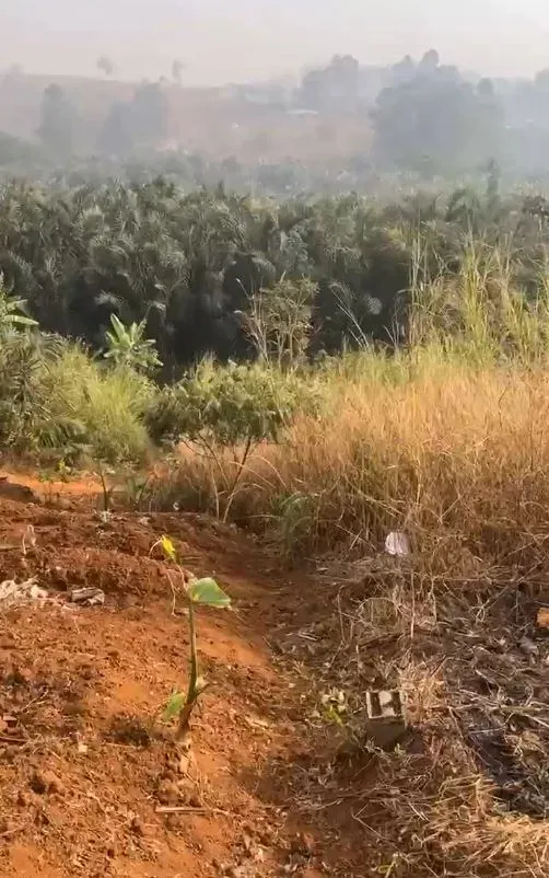 Image de la propriété