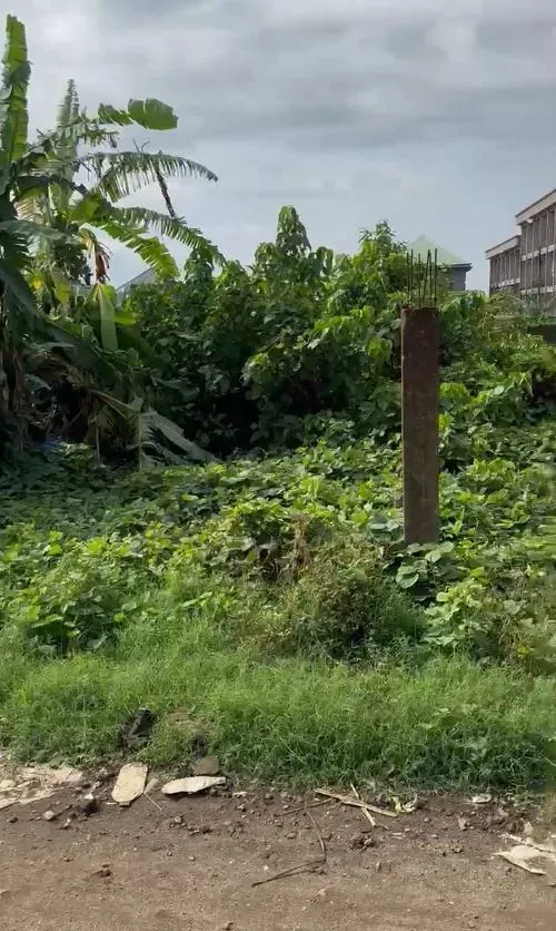 Main Photo - Real Estate | Land For Sale | Land For Sale – Behind Ghs Limbe 📍, Behind GHS Limbe, Limbé, Cameroon