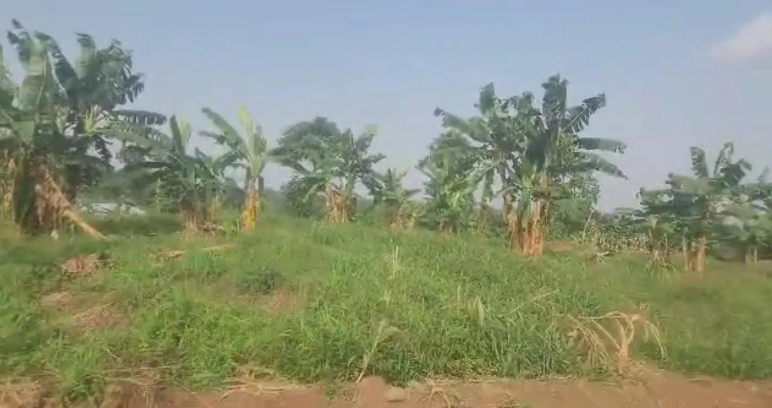 Main Photo - Real Estate | Land For Sale | 8 Plots Of 400M² Each Available For Sale After Bokwai Tank, Bokwai, Buea, Cameroon