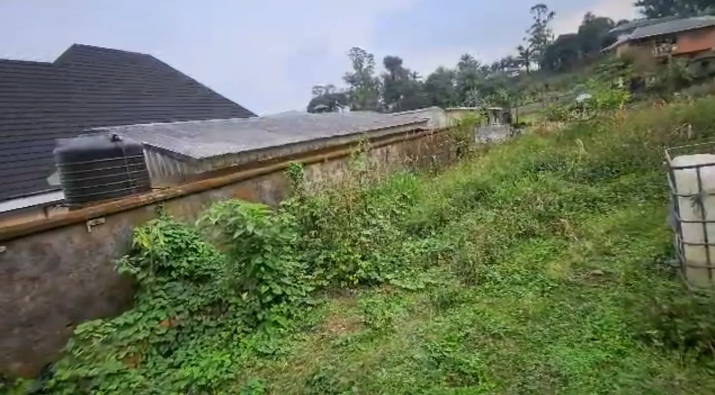 Main Photo - Real Estate | Land For Sale | 🔥 Breaking Sale – Prime Land At Gra Buea 🔥, Opposite Mountain Hotel, Buea, Cameroon