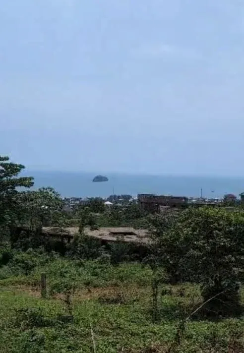 Main Photo - Real Estate | Land For Sale | 🏡 Land For Sale In Botaland - Limbe🏡, Botaland, Limbé, Cameroon