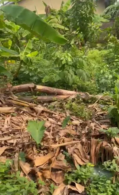 Main Photo - Real Estate | House For Sale | Land For Sale – Prime Location In Isokolo 🏡, Isokolo, Limbé, Cameroon