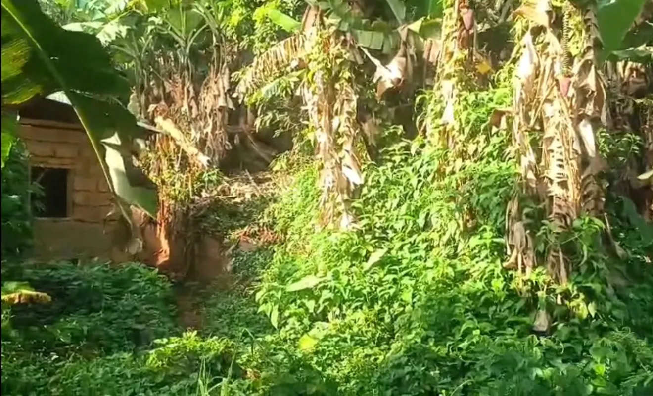 Photo Principale - Immobilier | Maison À Vendre | Land For Sale – Bamenda (Mile 3 Nkwen) 📝, Nkwen, Bamenda, Cameroun