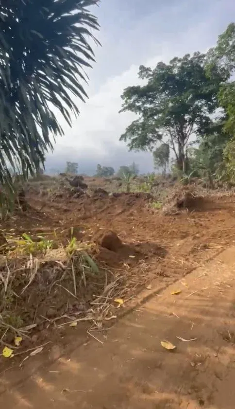 Image de la propriété