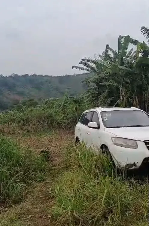 Image de la propriété