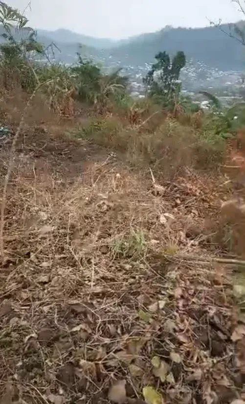 Image de la propriété