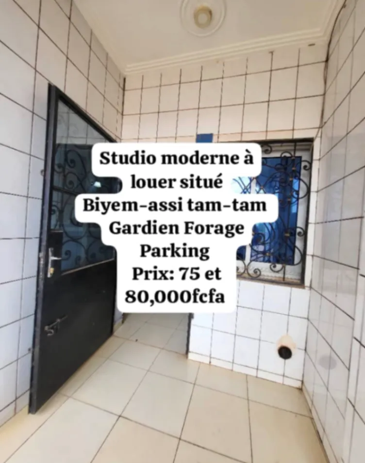 Photo Principale - Immobilier | Maison À Louer | Studio, Biyemassi, Yaoundé, Cameroun