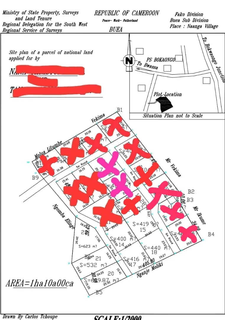 Photo Principale - Immobilier | Terrain À Vendre | Land For Sale – Bwassa Road, Bokwaongo, Buea, Bokwango, Buea, Cameroun
