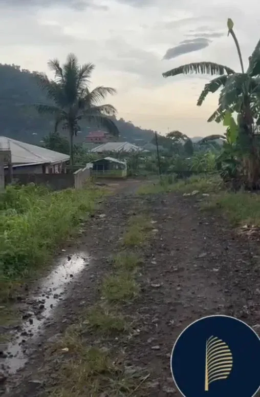 Photo Principale - Immobilier | Terrain À Vendre | New Listing — Land For Sale At Mile 3 Busumbu, Limbe, Bussumbu, Limbé, Cameroun