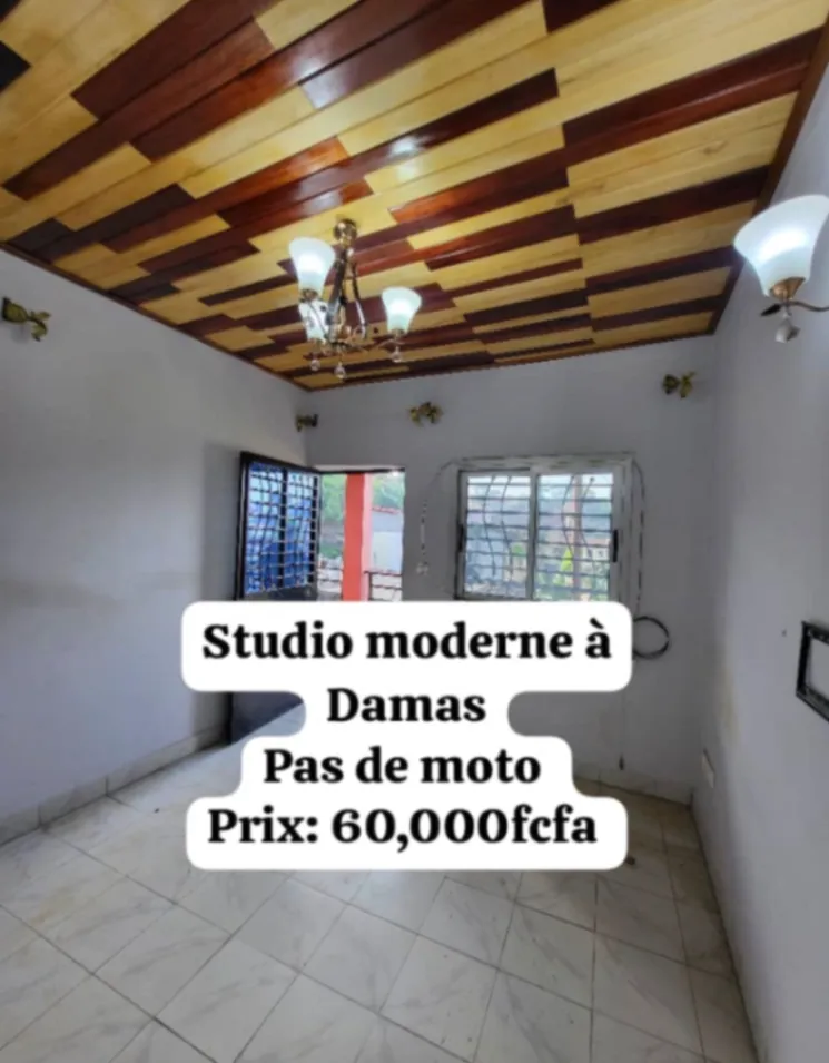 Photo Principale - Immobilier | Maison À Louer | Studio, Damas, Yaoundé, Cameroun