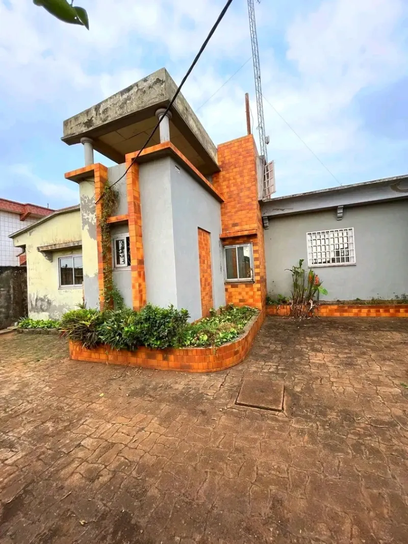 Photo Principale - Immobilier | Maison À Louer | Duplex À Louer, Essomba, Yaoundé, Cameroun