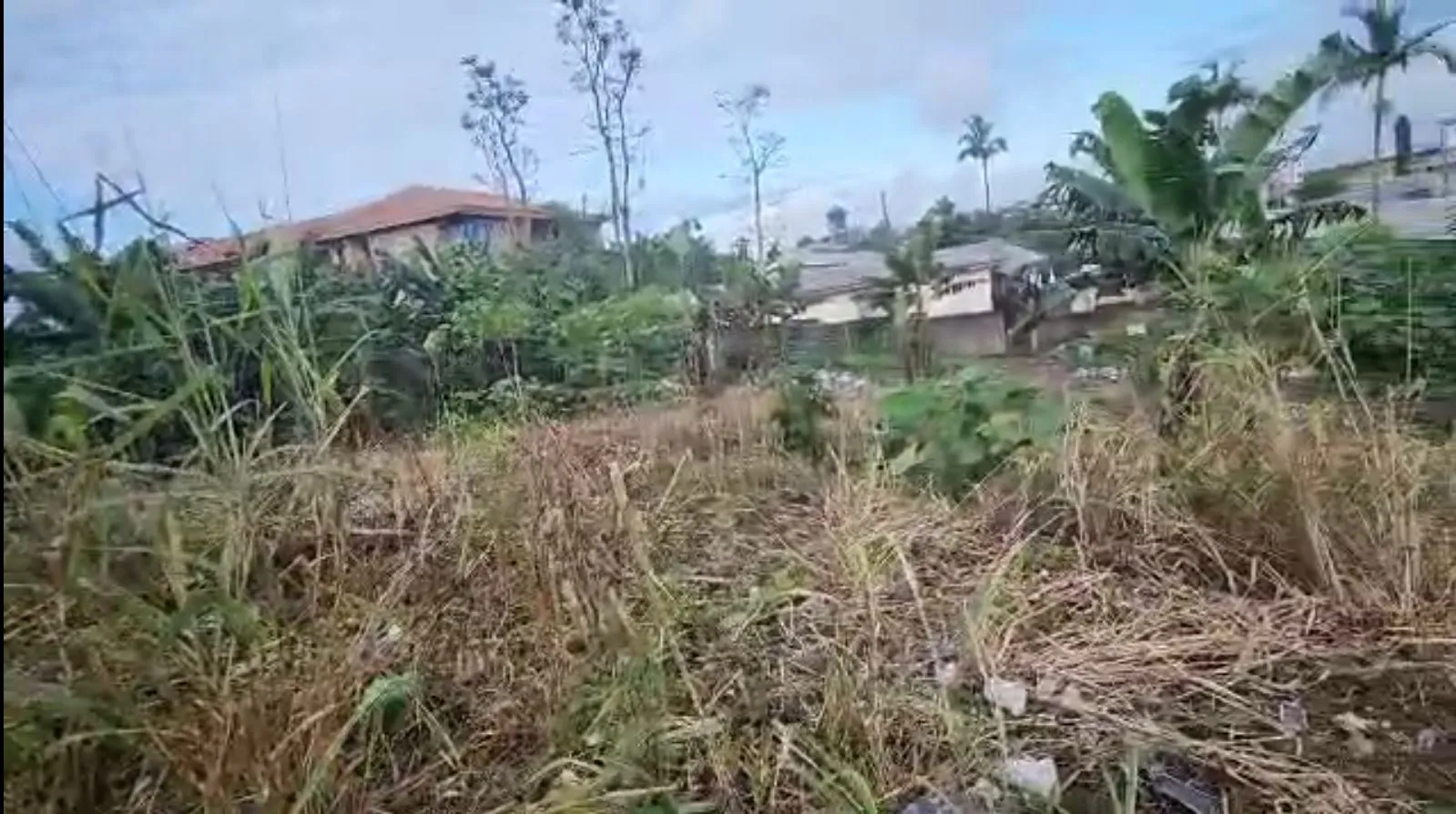 Main Photo - Real Estate | Land For Sale | For Sale: Prime 826M² Titled Land In Molyko, Buea, Molyko, Buea, Cameroon