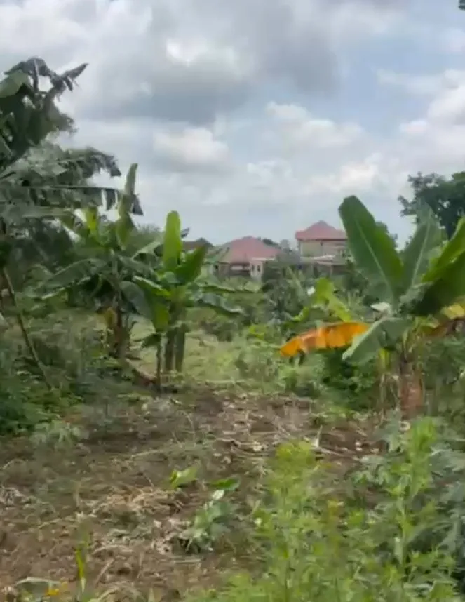 Photo Principale - Immobilier | Terrain À Vendre | Land For Sale – Bokwai, Buea 🔥🔥, Bokwai, Buea, Cameroun