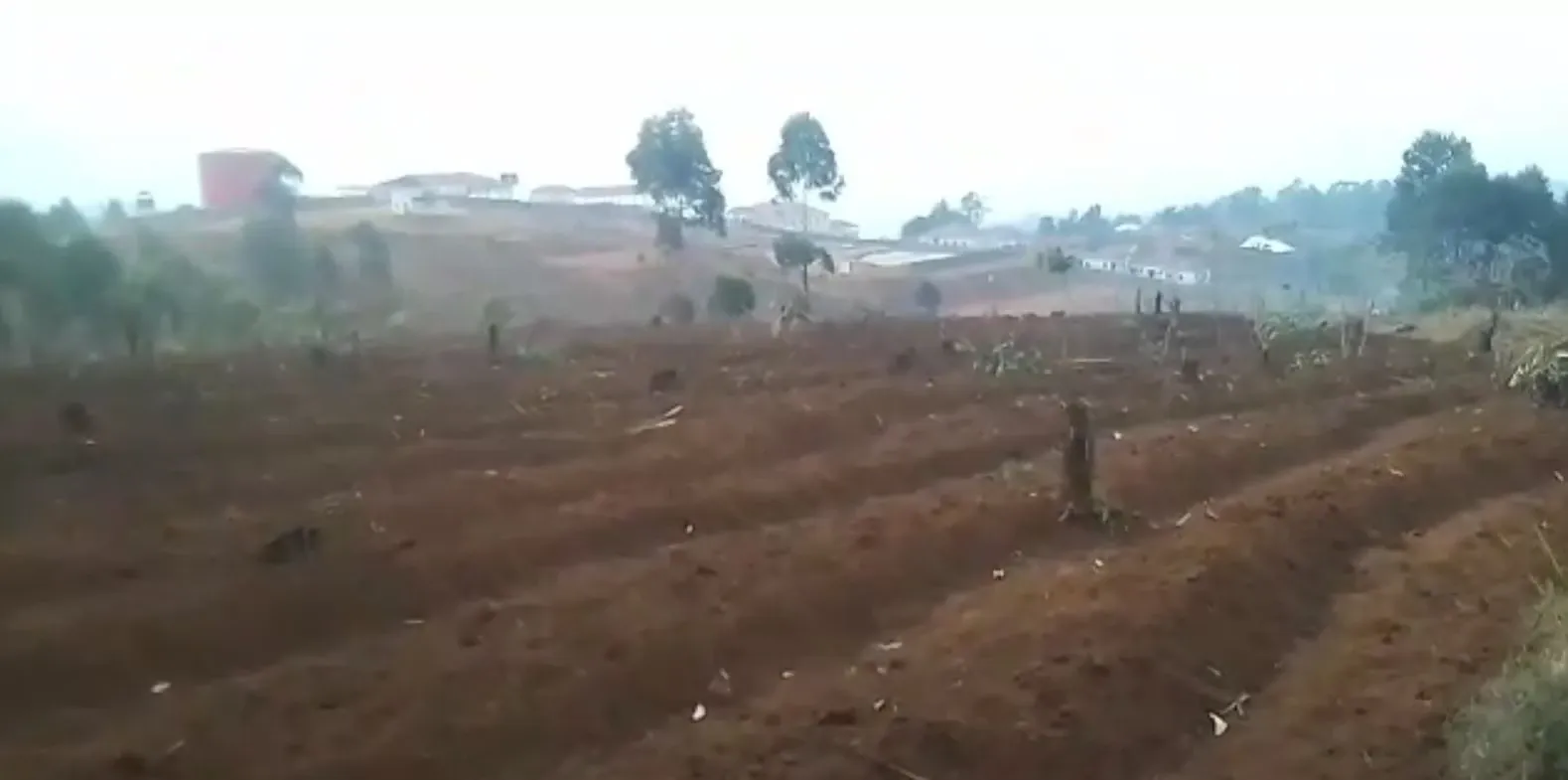 Photo Principale - Immobilier | Terrain À Vendre | Plot For Sale – Bamenda 🔥🔥, Up station, Bamenda, Cameroun