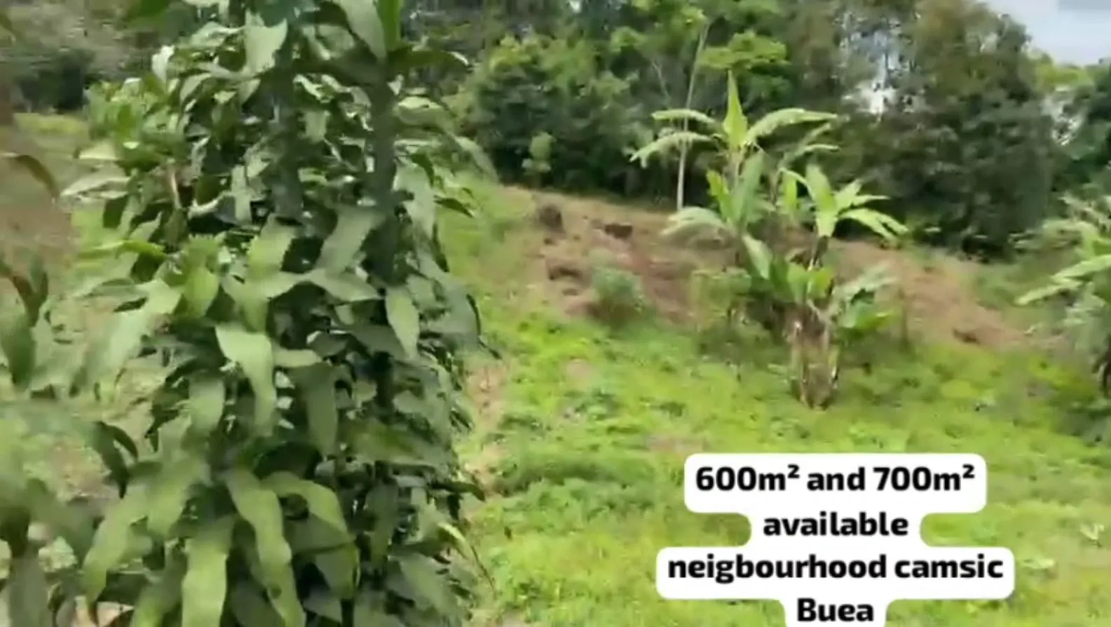 Photo Principale - Immobilier | Terrain À Vendre | Land For Sale At Camsic, CAMSIC, Buea, Cameroun