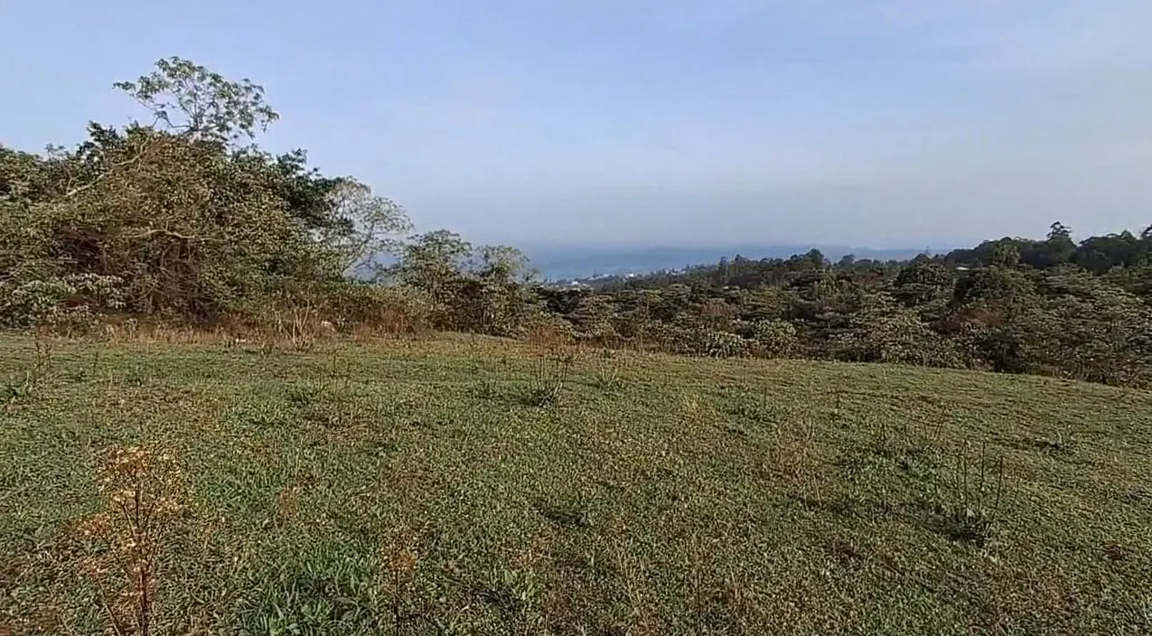 Image de la propriété