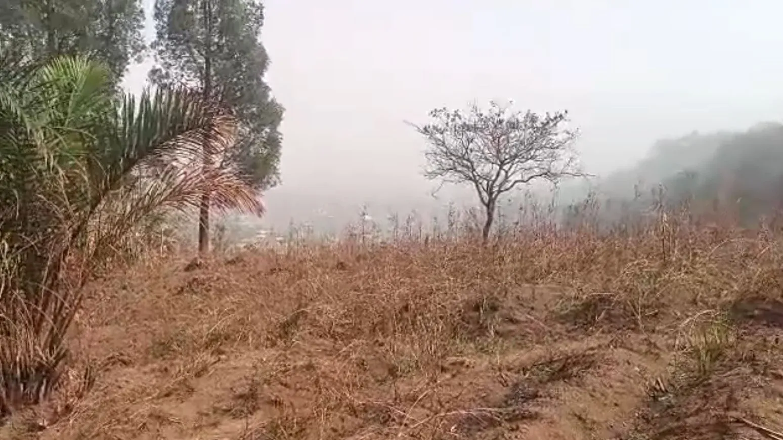 Photo Principale - Immobilier | Terrain À Vendre | Special Land Offer – Bluemoon Upstation 🔥🔥, Up station, Bamenda, Cameroun