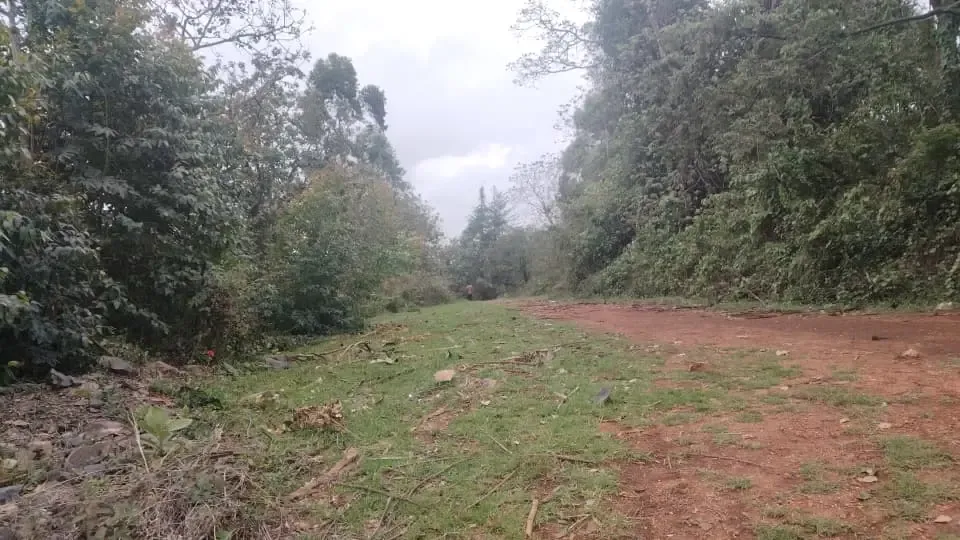 Image de la propriété