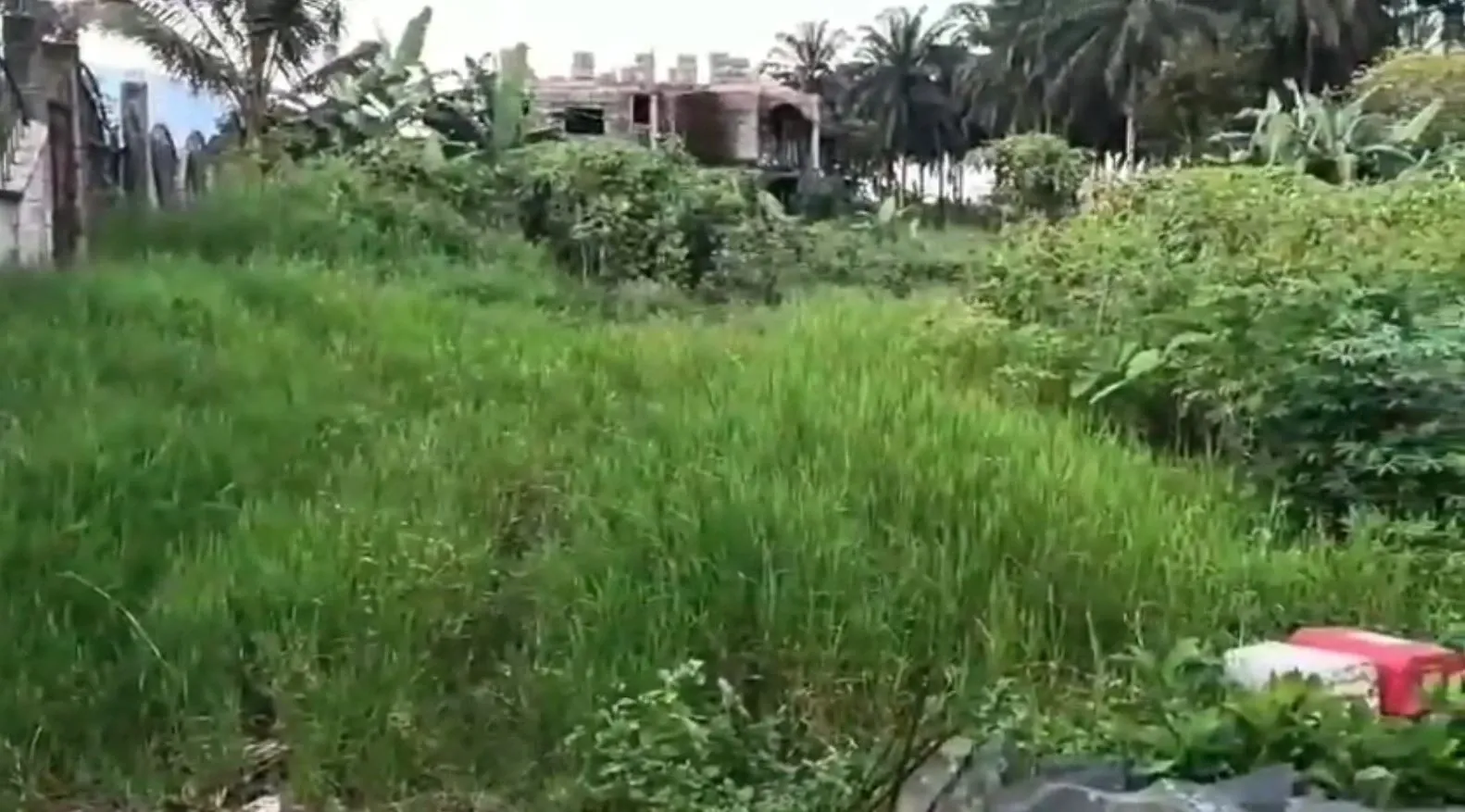 Photo Principale - Immobilier | Terrain À Vendre | A Commercial And Residential Land For Sale In Buea, Around Bulu Blind Centre, Buea, Cameroun