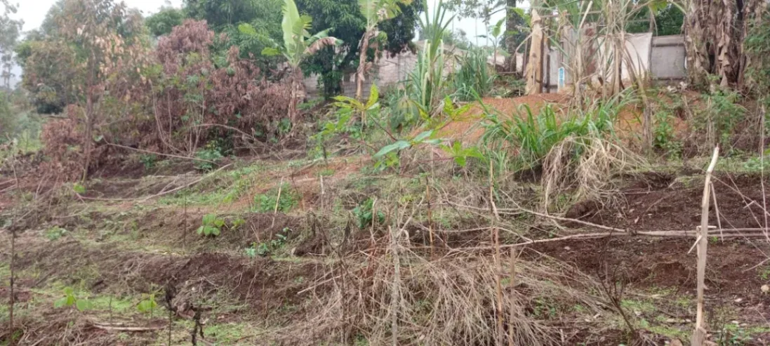 Photo Principale - Immobilier | Terrain À Vendre | Golden Opportunity – Land For Sale In Bamenda, Up station, Bamenda, Cameroun