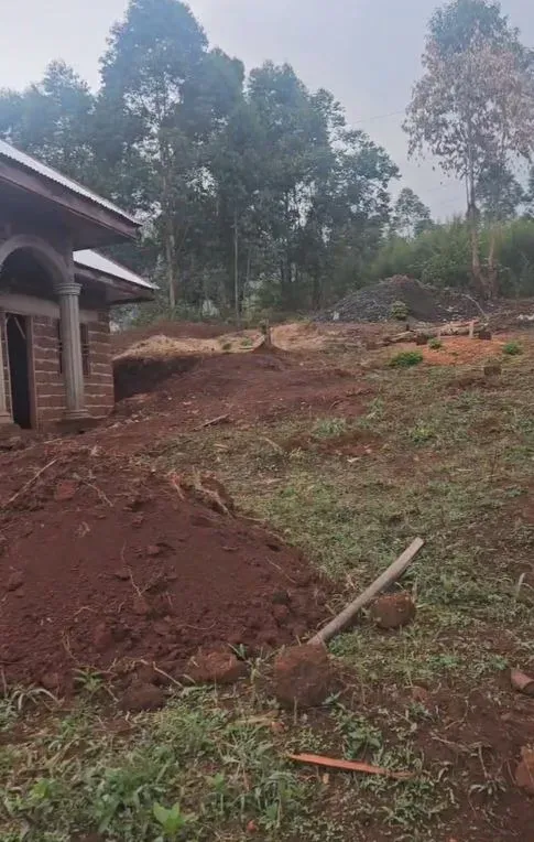 Photo Principale - Immobilier | Terrain À Vendre | Golden Opportunity – Land For Sale In Bamenda, Bangshie (near down store), Bamenda, Cameroun