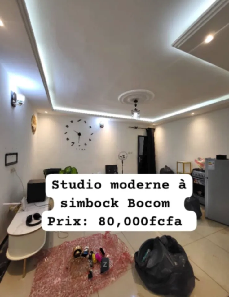 Main Photo - Real Estate | House For Rent | Studio, Biyemassi, Yaoundé, Cameroon