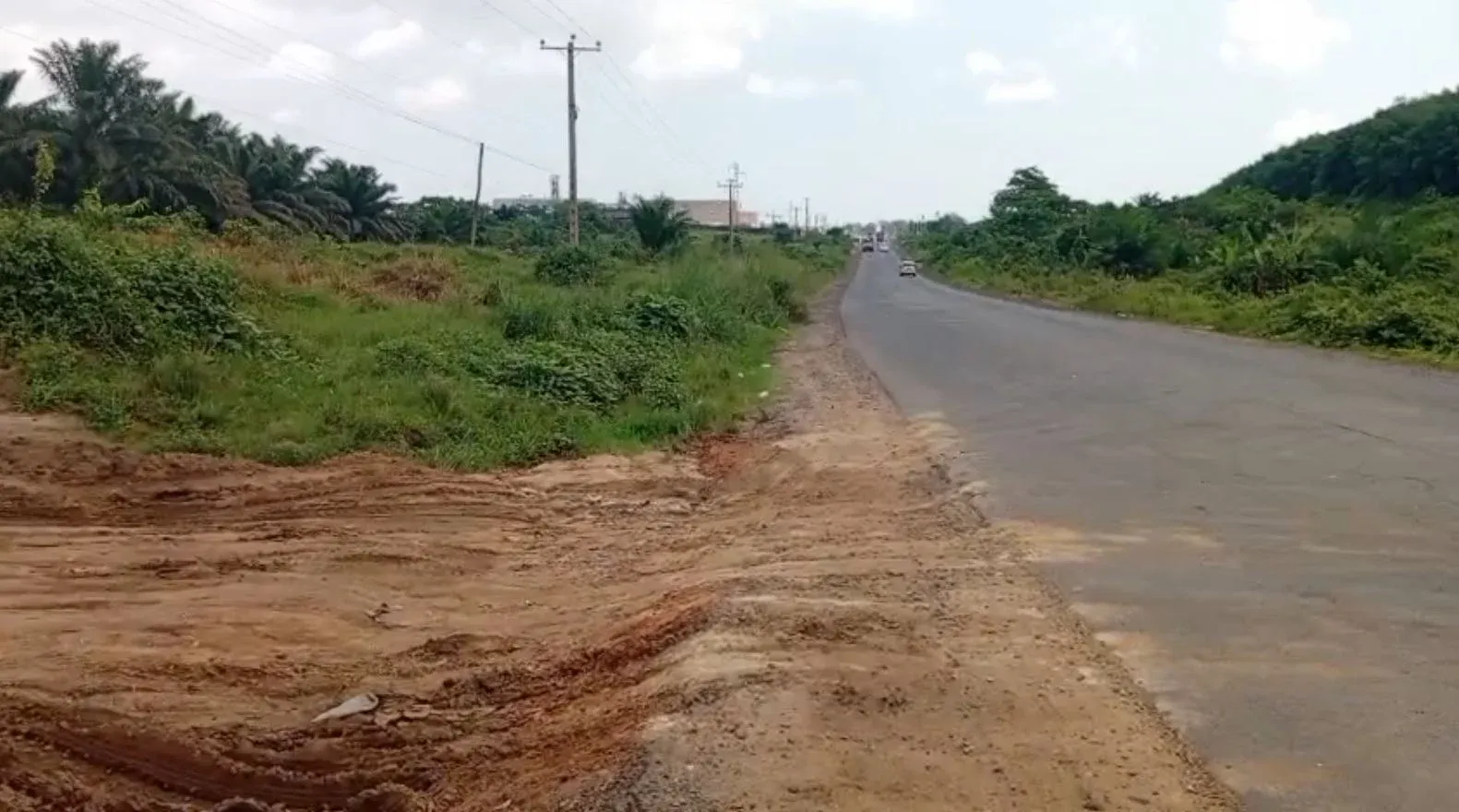 Main Photo - Real Estate | Land For Sale | Direct Tar Road Land For Sale – Bomono 🚨, Bomono, Douala, Cameroon