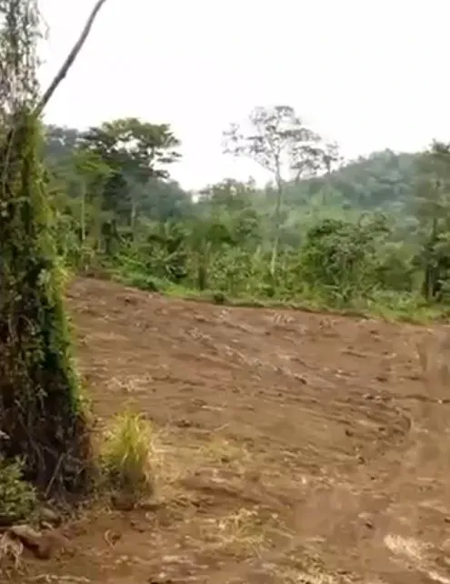 Main Photo - Real Estate | Land For Sale | Land For Sale – Prime Plots At Mukunda Village 🚨, Mukunda, Limbé, Cameroon