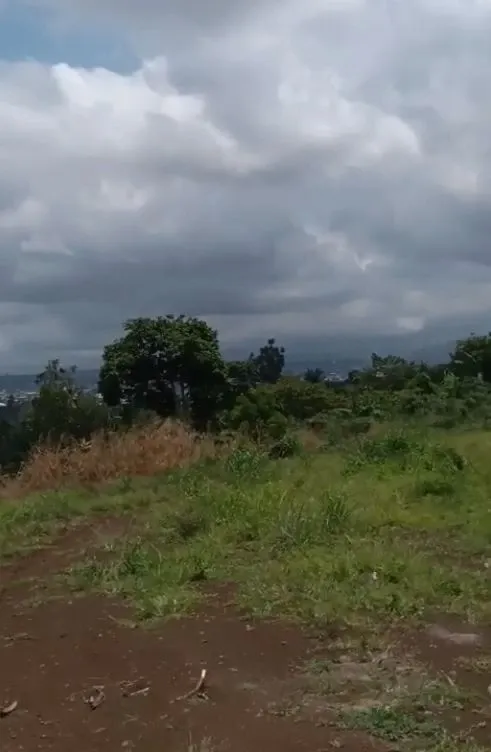 Photo Principale - Immobilier | Maison À Vendre | Land For Sale – Lower Muea, Buea 🚨, Muea, Buea, Cameroun