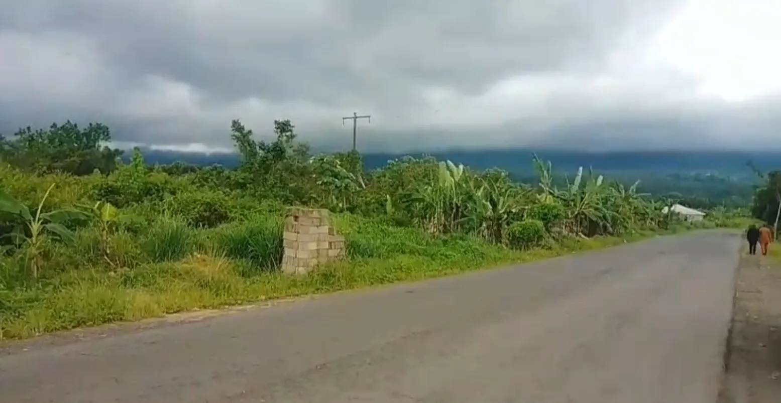 Photo Principale - Immobilier | Terrain À Vendre | Massive Investment Opportunity – West Coast Edenua 🌴, Idenau, Limbé, Cameroun