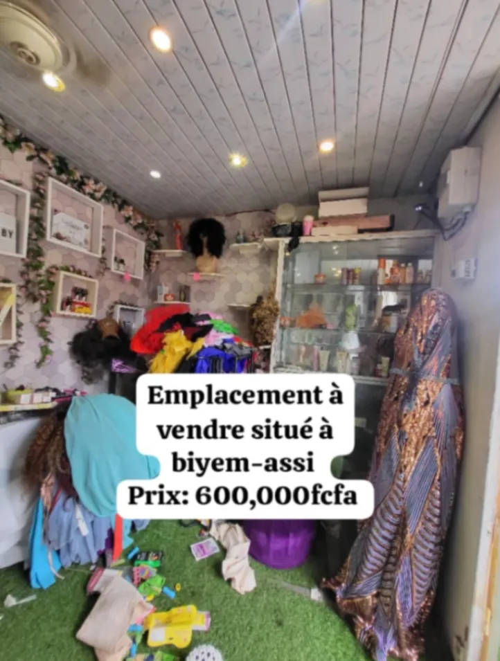 Photo Principale - Immobilier | Terrain À Vendre | Salon, Biyemassi, Yaoundé, Cameroun